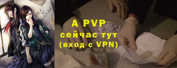 a pvp Абаза