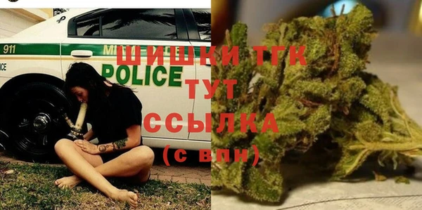 молекула духа Михайловск